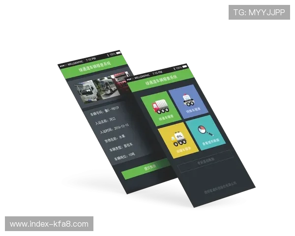 深入分析凯发娱乐地址登录入口的安全性与便捷性