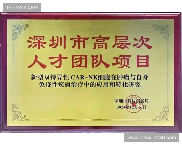 如何利用AG凯发K8国际稳定平台提升在线游戏的稳定性与用户满意度